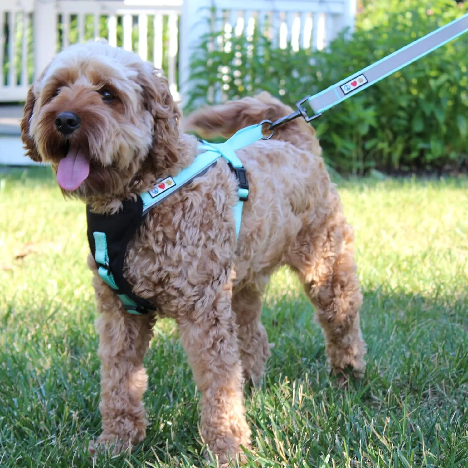Pawtitas Reflective Dog Harness Padded Dog Harness Provides Comfort Control for a Walk or Running Great Pet Accessories Dog Vest S Small Orchid Dog Harness