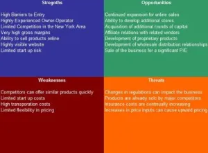 Sunglasses Store SWOT Analysis Plus Business Plan